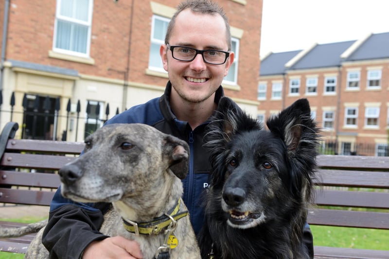 Tim Jackson was set to open a new dog daycare centre called Pets 2 Impress, in South Shields in 2015. Pictured with him were German Shepherd Lady and lurcher Millie.