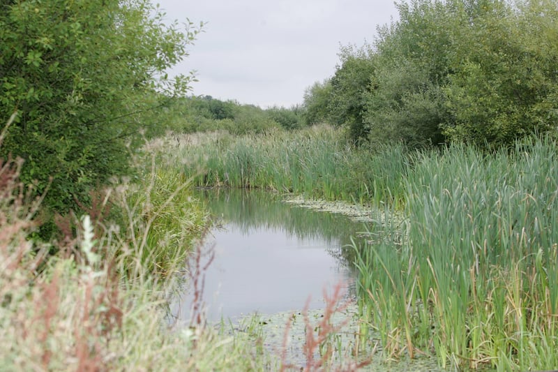 This RSPB site is reclaimed from a sewage works and landfill site - but don’t let that put you off. After reclamation, it is today a 100-acre haven for wildlife with its mixture of old and new woodland and meadows. Pictured is the view of Carr Forge Dam off Stone Lane Normanton Springs.