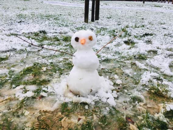 Snowman in Swanmore. Picture: Sarah Standing