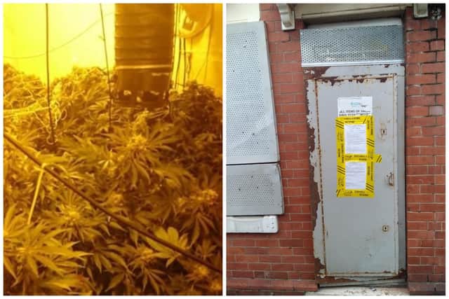 South Yorkshire Police say they have dismantled over 60 cannabis farms in Rotherham since October, seized over £7m of plants.