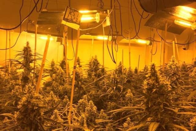 An image of the Clarke Square cannabis farm taken by South Yorkshire police.