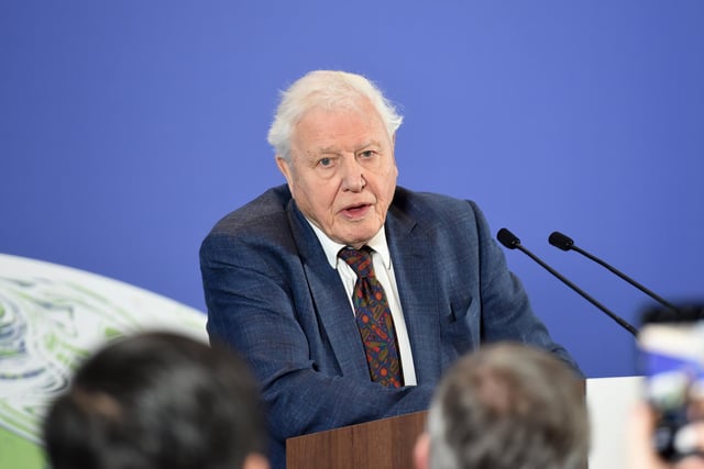 National treasure, Sir David Attenborough, receives an upgrade to Knight Grand Cross in the diplomatic list for services to broadcasting and conservation.