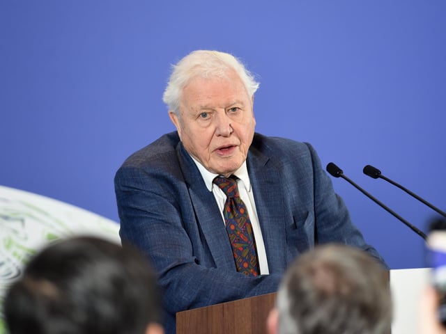 National treasure, Sir David Attenborough, receives an upgrade to Knight Grand Cross in the diplomatic list for services to broadcasting and conservation.