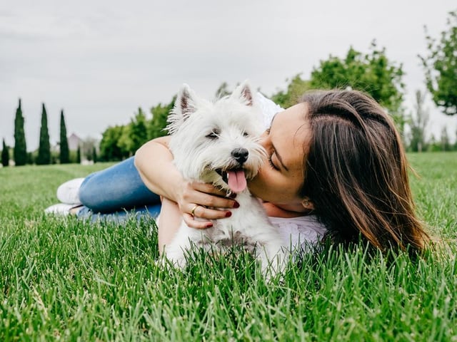 Ruby ranked as the sixth most popular female dog name, with Buddy ranking sixth for males.