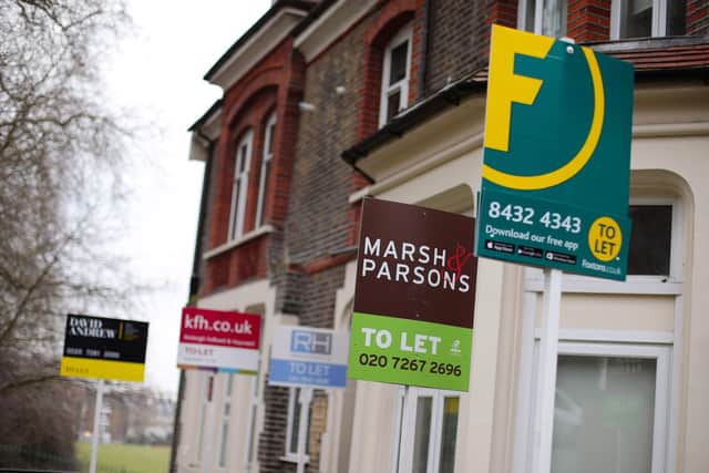 A row of To Let estate agent signs placed outside houses