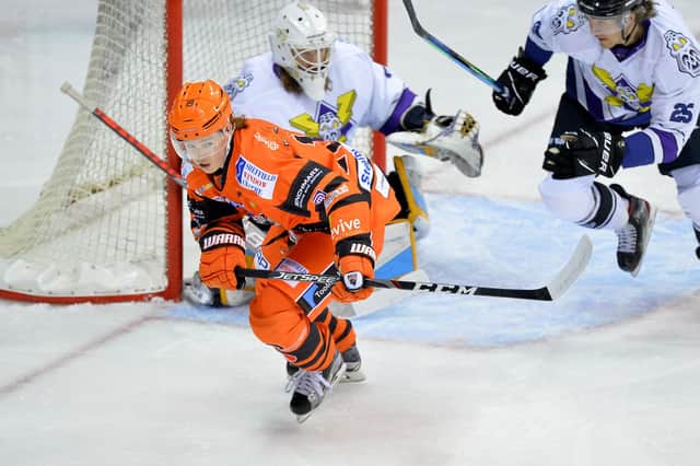 Sheffield Steelers' Joshua Waller is a wanted man. Picture:
