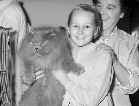 A cat show at the Palatine Hotel in November 1960.