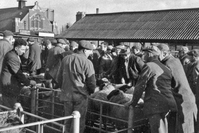 The cattle market was packed out each week it was open