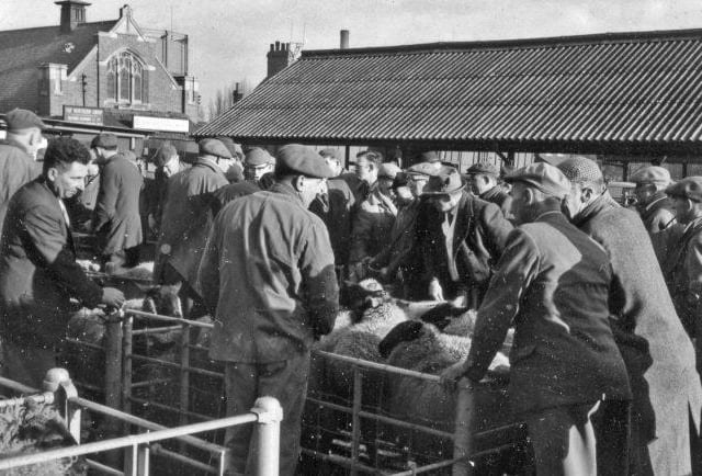 The cattle market was packed out each week it was open
