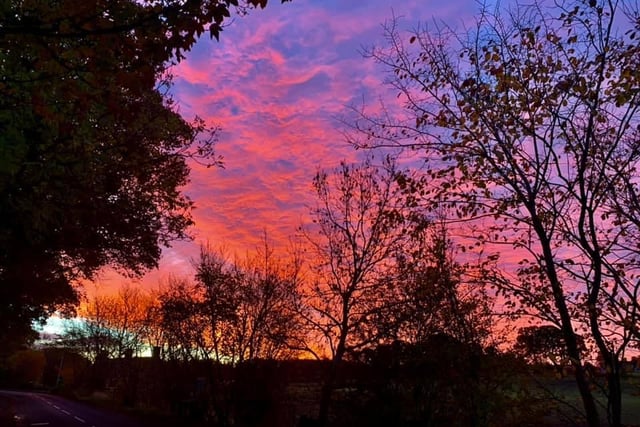 A spooky scene was caught by this sky watcher, with creepy trees dramatised by a magnificent sky of blues, pinks and haunting oranges and reds.