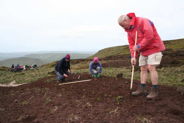 In 2007 the National Trust, with the assistance of many different groups, have planted over 130,000 cotton grass plants on Kinder Scout in a bid to help protect the upland peat stored on the moors and conserve one of the most valuable pieces of English countryside.