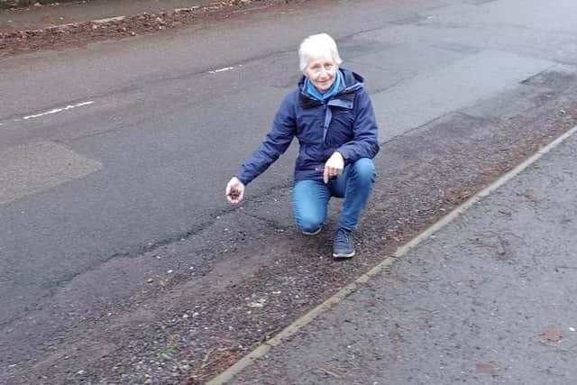 Councillor Barbara Masters on Greystones Road, which is set to be resurfaced at Easter, eleven months after the problem was reported, she says.