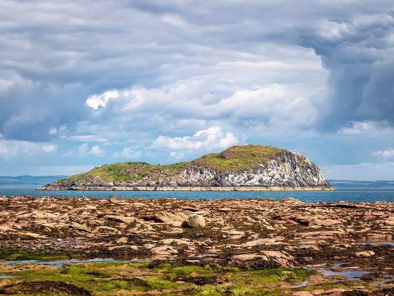 Directly North of North Berwick is Craigleith, a lava dome which was once used for breeding rabbits before the population was wiped out by myxomatosis. Wildlife boat trips travel here to see the seabird colonies including cormorants, shags, guillemots and puffins. The latter sparked an SOS Puffin project after their numbers plunged from 10,000 to just a thousand due to invasive plants strangling the birds' nesting burrows.
