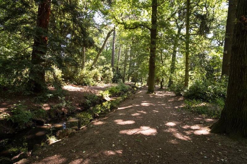 Enjoy a tranquil walk along a woodland path beside a stream or across open parkland on the castle's 321-acre estate. Photo by Shutterstock/Simon Annable.