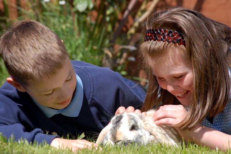 Pupils Callum Edge and Jamie-Leigh Giles were pictured with a pet rabbit which was found in the school grounds. Remember this from 2006?