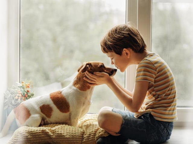 Rosie ranked as the eighth most popular female dog name, with Bailey ranking eighth for males.