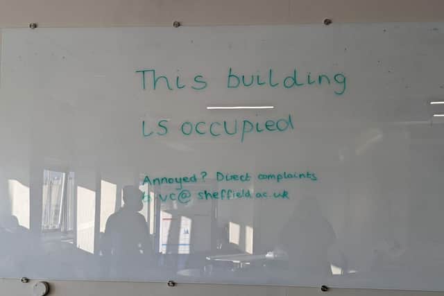 University of Sheffield students have occupied the Diamond building among others in support of striking staff (pic: Chloe Aslett)
