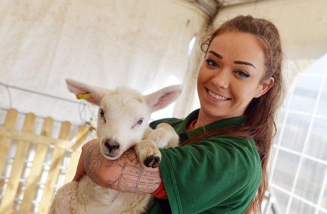 Wallabies and lambs are among the 400-plus animals at the farm, which also offers a beach area, play park, crazy golf and under 5s play area complete with sandpit.