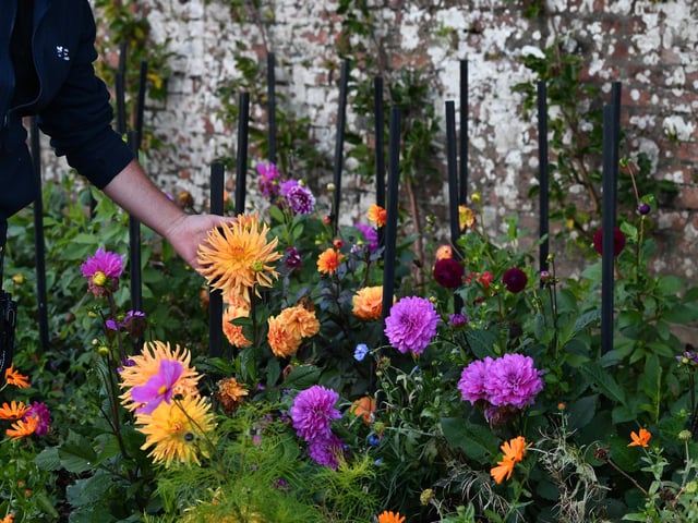 Grounds and gardens of Culzean Castle