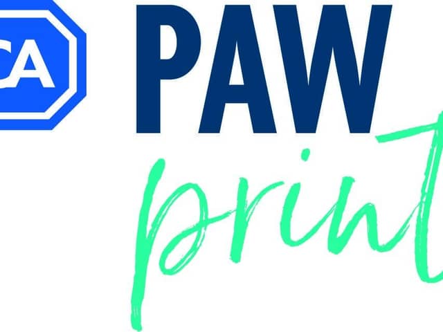 RSPCA PawPrints Awards