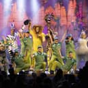 The cast of Madagascar the Musical during the finale