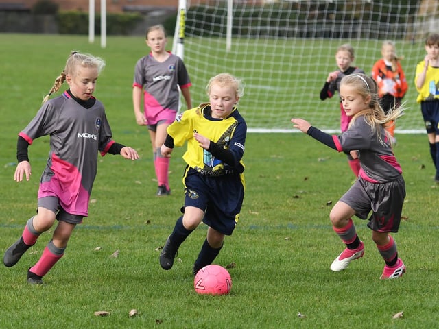 Picture: Neil Marshall