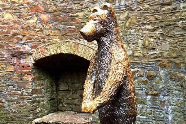 David Mayne's sculpture in the bear pit, which has inspired a Bears of Sheffield sculpture trail in the city next year in aid of Sheffield Children;'s Hospital Charity