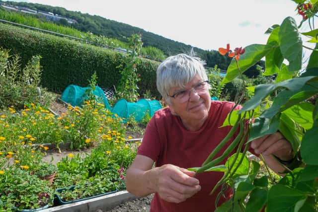 Sheena Clarke on the Hope Community Allotment in Wincobank