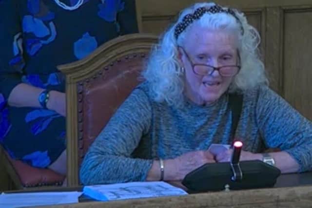 Susan Powers speaking in support of Rivelin Valley Dog Park, which was refused planning permission by Sheffield City Council