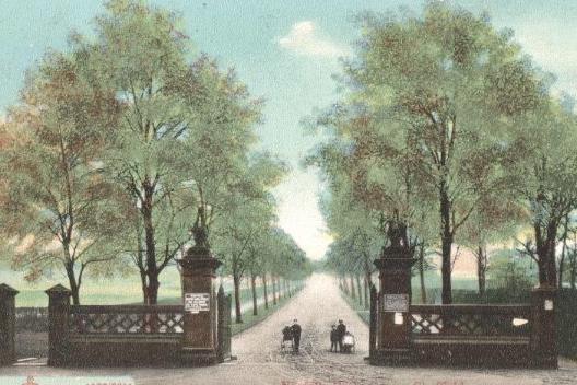 Entrance to Norfolk Park, off Granville Road, 1906 (P01721)