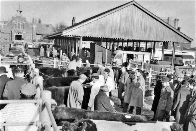 The cattle market was popular with farmers and families alike.
Can you spot any familiar faces?