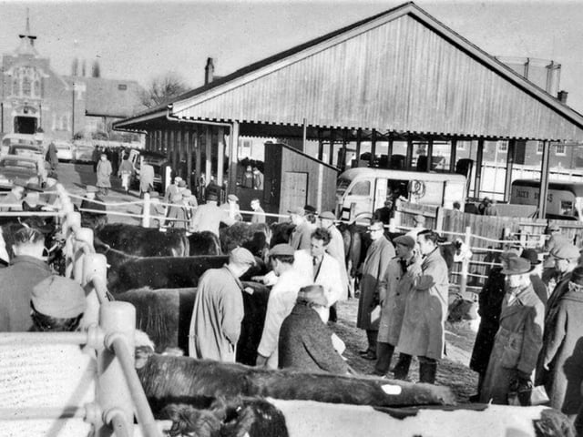 The cattle market was popular with farmers and families alike.
Can you spot any familiar faces?