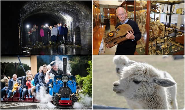 These are just some of the incredible places to visit in Sheffield which many people don't know exist