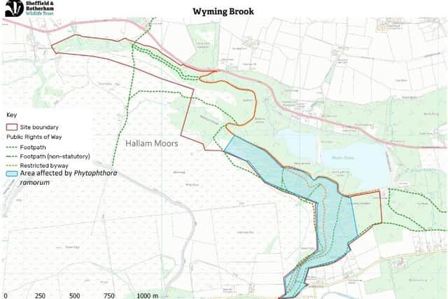 Map of Wyming Brook showing area affected by Phytophthora ramorum