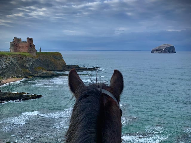 What a view - Tantallon Castle and the Bass Rock