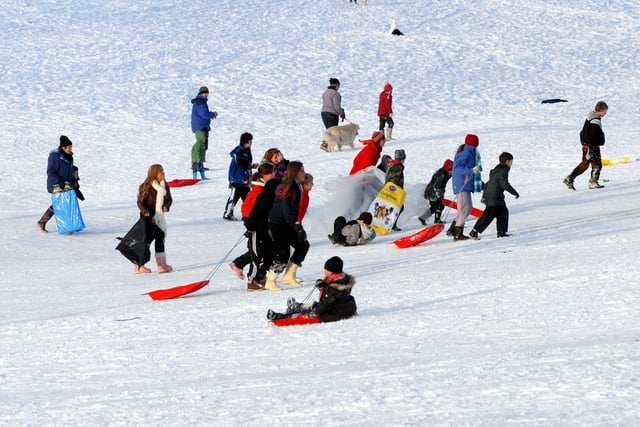The busy slopes at Fisher Lane in early January 2010