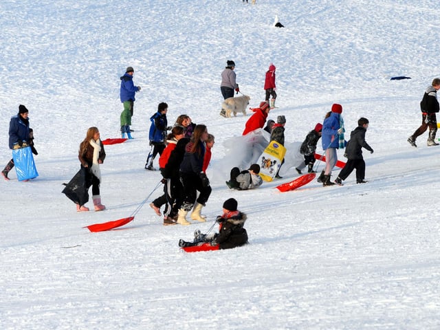 The busy slopes at Fisher Lane in early January 2010