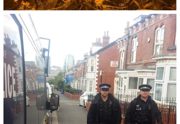 DCI Jamie Henderson, the cannabis grow seized and officers patrolling the streets in Sheffield following a spate of shootings.