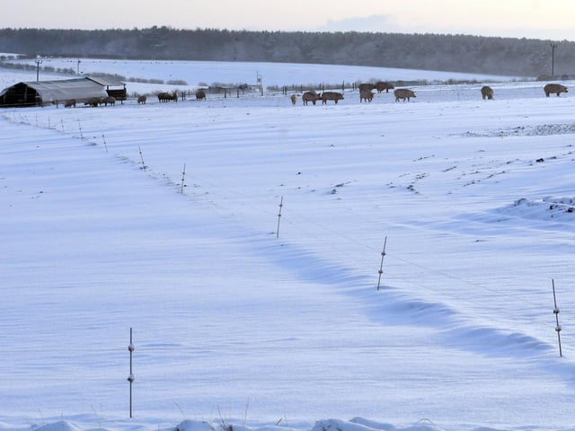 Coxmoors Road at Sutton covered in snow
