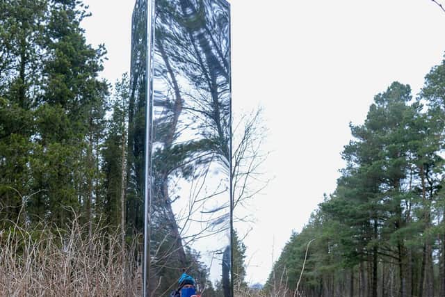 The metal monolith which has appeared in Lady Canning's Plantation in Sheffield. Picture: Dean Atkins