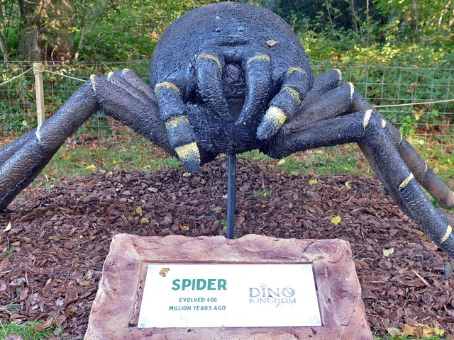 Exhibits include this huge prehistoric spider
