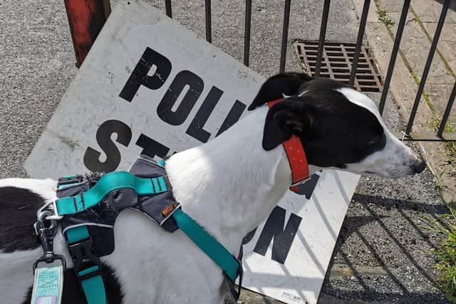 Sadie the dog at Meersbrook Park United Reformed Church polling station, Sheffield. Voters headed to the polls to have their say in this year’s local elections.
