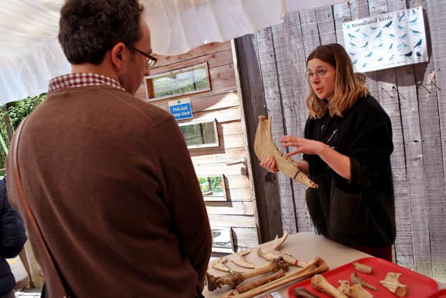 Exploring the past at the Archaeology in the City's Woodland Heritage Festival in 2019