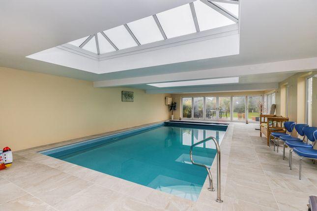 This is what the swimming pool looks like.
