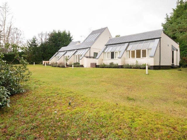 Rear garden.