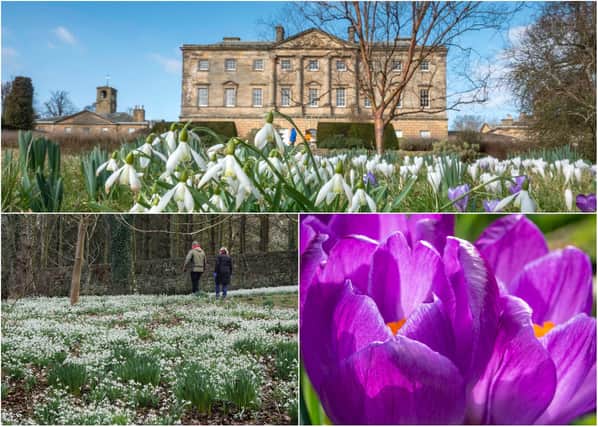Spring at Howick Hall Gardens. Pictures: Jane Coltman