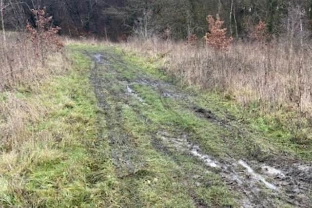Hooligans on motorbikes rode at walkers and deliberately sprayed mud at them as they strolled out at Westwood County Park, Sheffield, pictured.