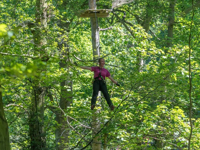 You can once again climb through the trees. But make sure to book as they are running on limited capacity