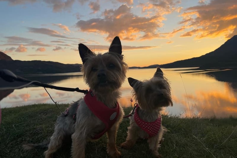 Max and Poppy in a picture fit for a postcard!