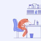 A prawn sat at a desk, hunched over, illustrating bad posture.